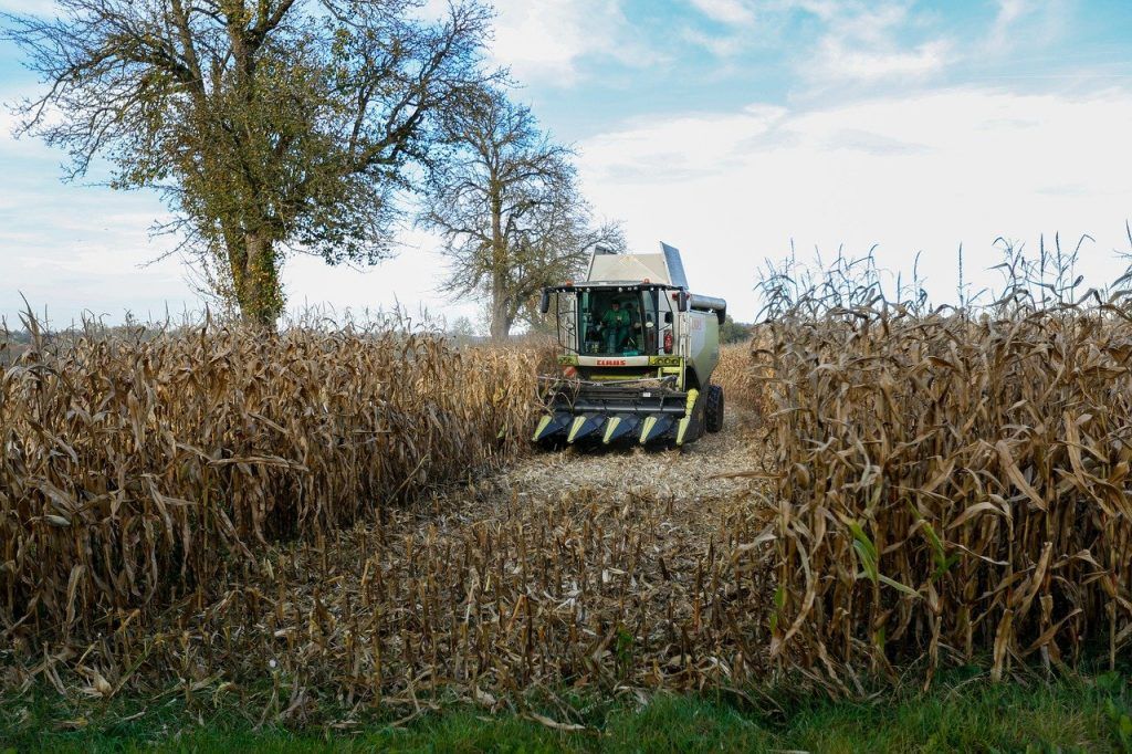Az Agrárminisztérium áttekintette a Nemzetközi Gabonatanácstól és az Európai Bizottságtól származó adatokat, amelyek alapján 2023-ban csökkenő ukrán terméseredményekkel és a 2023/24-es gazdasági évre csökkenő exportteljesítménnyel lehet számolni