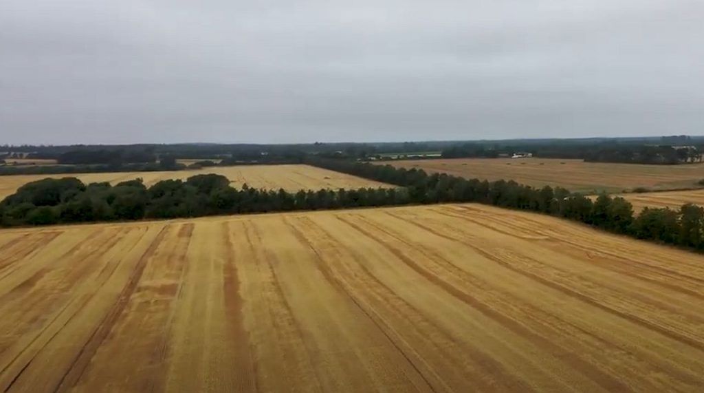 Értékes információkhoz juthatnak a földjeikről a gazdálkodók, beleértve a talajállapotot, a nedvességszintet és a termények egészségi állapotát - mindezt a precíziós gazdálkodás révén.