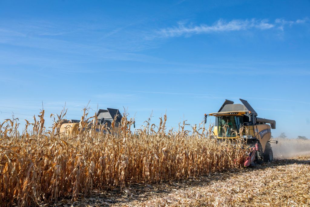 Kukoricatörő adapterrel felszerelt New Holland típusú kombájn dolgozik a határban 2023. szeptember 20-án - Fotó: MTI/Rosta Tibor