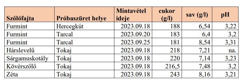 2. táblázat - Az önkéntes must minták cukor, sav és pH értékei