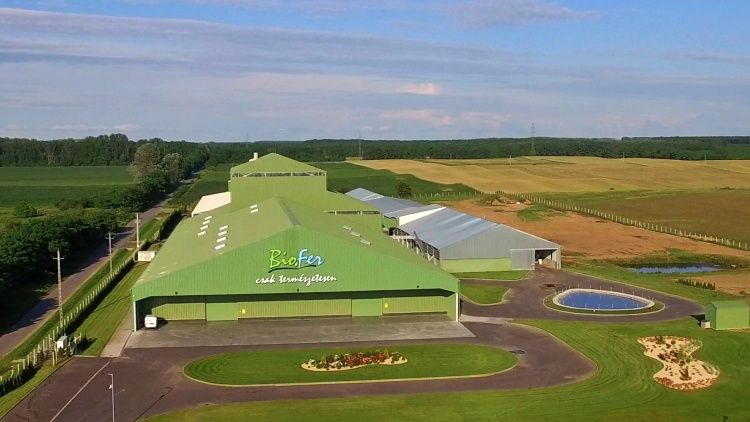 A Master Good cégcsoport baromfitrágyát dolgoz fel és alakítja a Bio-Fer névre keresztelt termékké, a következő három évben megháromszorozzák a gyártókapacitást