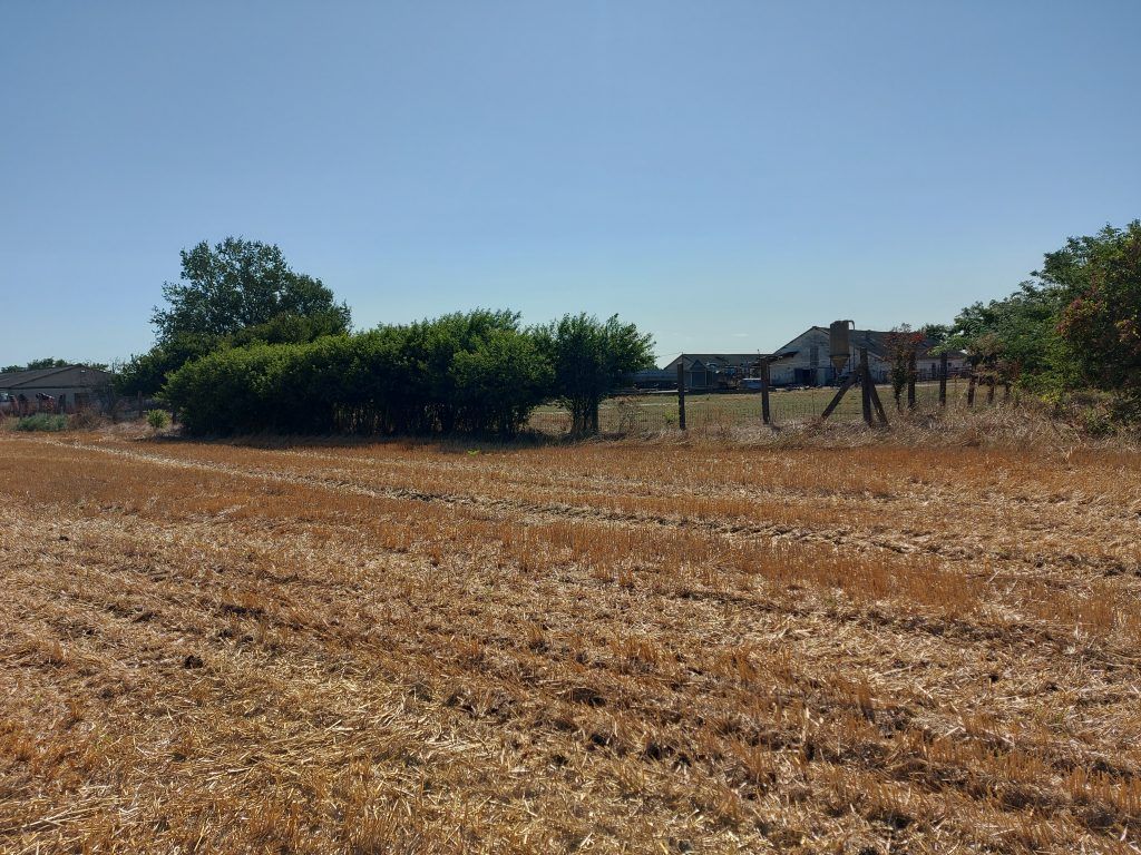 Az Agrárminisztérium 40 millió forint értékben támogatja a hazai, környezet- és természetvédelmi céllal létrejött, közhasznú társadalmi szervezeteket - Fotó: Magro.hu, CSZS, Dunaszekcső