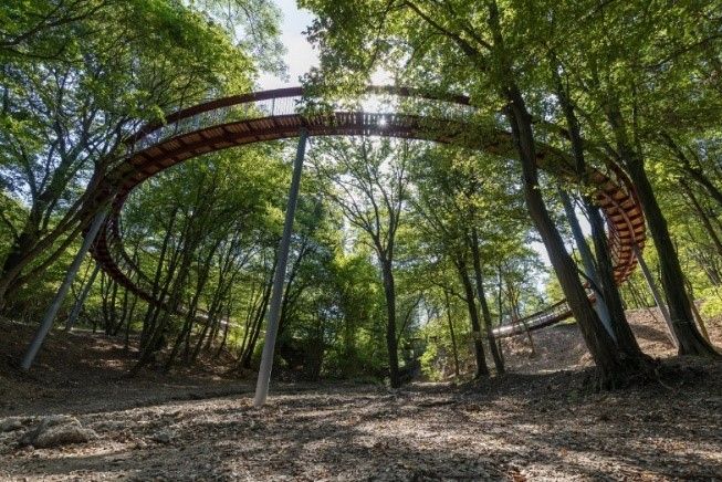 Lombkorona-tanösvény a Süttői Erdészeti Igazgatóság által kezelt területen