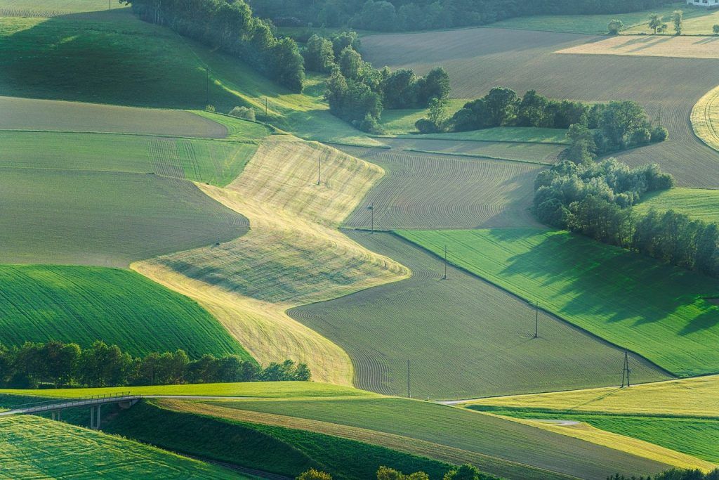 A háború kedvezőtlen hatásai és a szankciók ellenére is az agrárexport további bővülésére számít Oroszország - képünk illusztráció