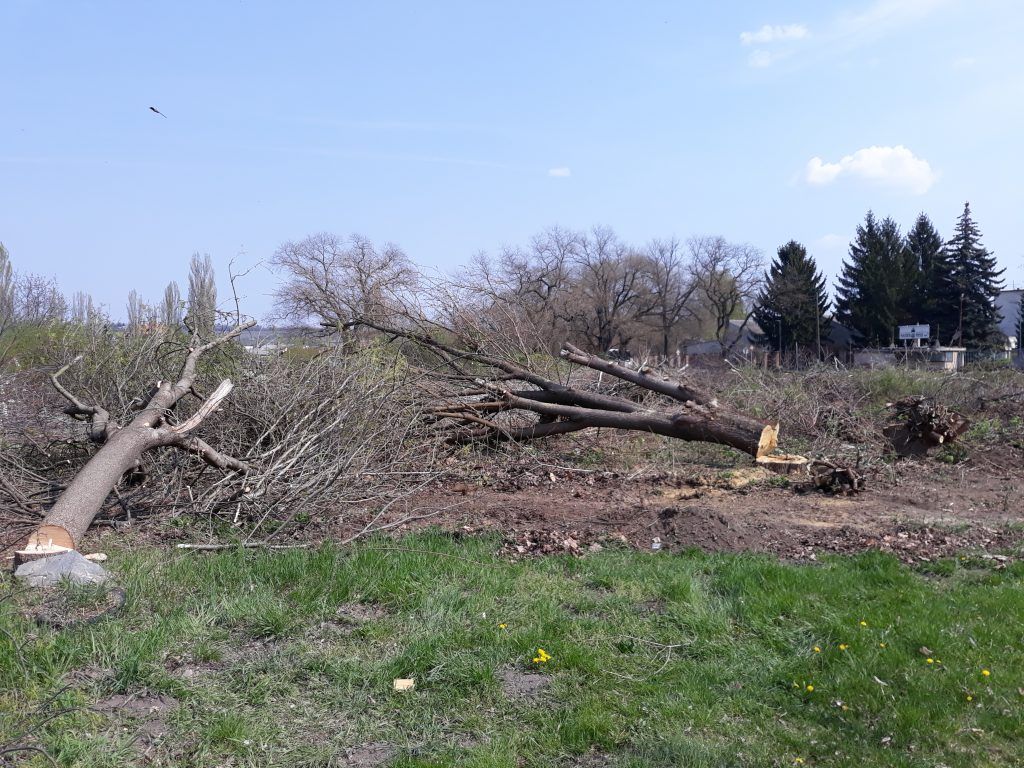 A birtokvédelem a szomszédjogok területéhez tartozik, utóbbiak megsértése esetén birtokháborításról van szó. Az igénybe vehető jogi lehetőségek régóta változatlan szabályok szerint vannak jelen a mindenkori polgári törvénykönyvben - Fotó: Magro.hu, CSZS, Vác