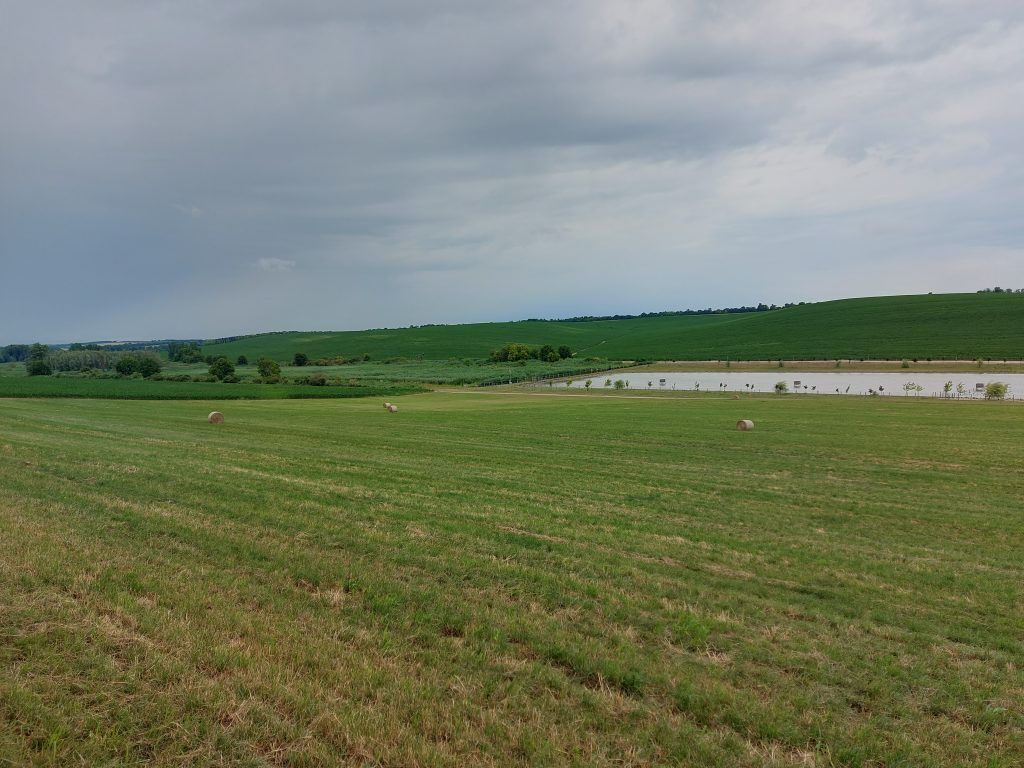 A kisebb területek vízkörforgásai azáltal tarthatóak fenn, hogy a területeken agrotechnikai műveletekkel hosszabb lefolyási utakat biztosítanak a hirtelen nagy mennyiségben lezúduló csapadéknak - Fotó: Magro.hu, CSZS, Dunaszekcső