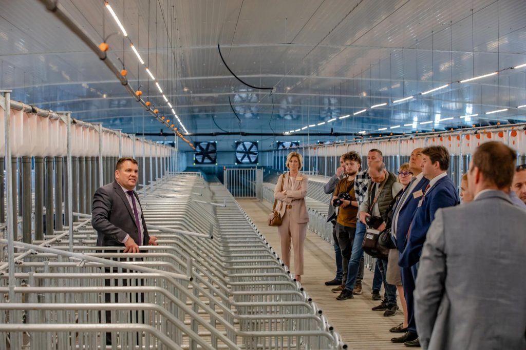 Sarusi-Kis Tamás ügyvezető igazgató mutatja be a modern sertéstelepet - Fotó: Vermes Tibor