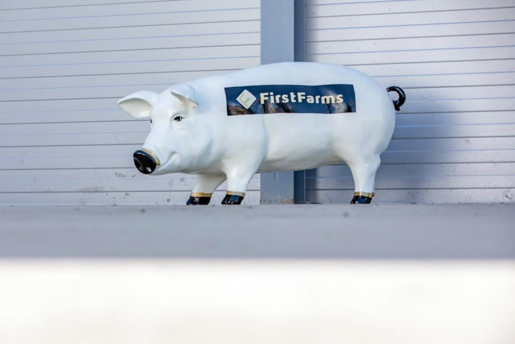 A FirstFarms két sertéstelepén közel 10 milliárd forintos beruházást adtak át: Telekgerendáson kétezer férőhelyes kocafiaztató, Pusztaföldváron pedig a szaporulatnak malacnevelő telep épült - Fotó: Vermes Tibor