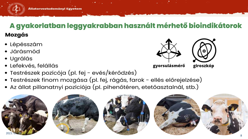 A gyakorlatban leggyakrabban használt mérhető bioindikátorok