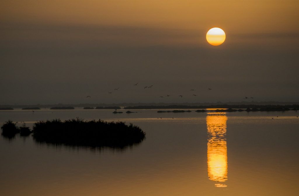 A Doñana Nemzeti Park egyik vizes élőhelye