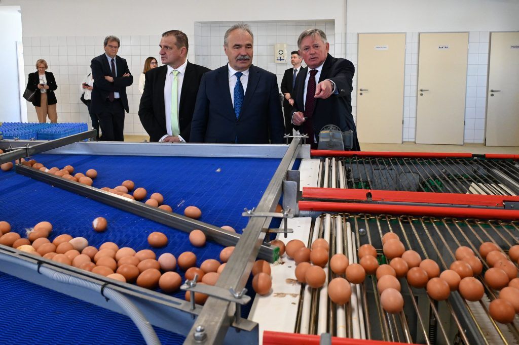 Nagy István agrárminiszter (j2), Tóth Béla, a Gyermelyi Zrt. elnök-igazgatója (j) és Erős Gábor, a térség országgyűlési képviselője (j3) a Gyermelyi Zrt. 1,4 milliárd forintos beruházással létrehozott tojástermelő egységében az átadása napján Máriahalmon 2023. április 20-án. A vállalat ezzel az ország legnagyobb tojástermelő telepét hozta létre Máriahalmon - Fotó: MTI/Máthé Zoltán
