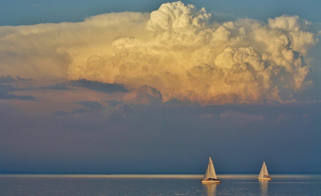 Bizonyossá vált, hogy a Balatonban is vannak 50-100 µm-es mikroműanyagok, amelyek bejuthatnak a nagy vízibolha tápcsatornájába – közölték a MATE és az ELKH Balatoni Limnológiai Kutatóintézet kutatói