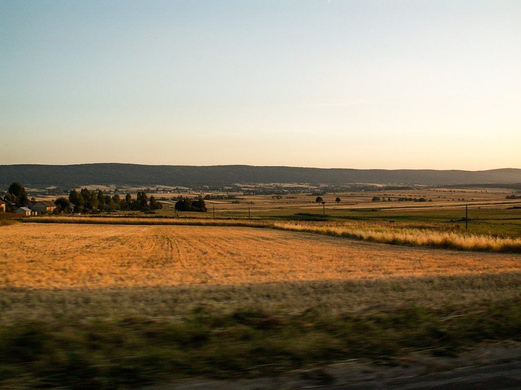 Bedőlt a málna, a gabona és az almasűrítmény piaca, ezért az ukrán áruk vámmentességének eltörlését kéri a lengyel agrárkamara