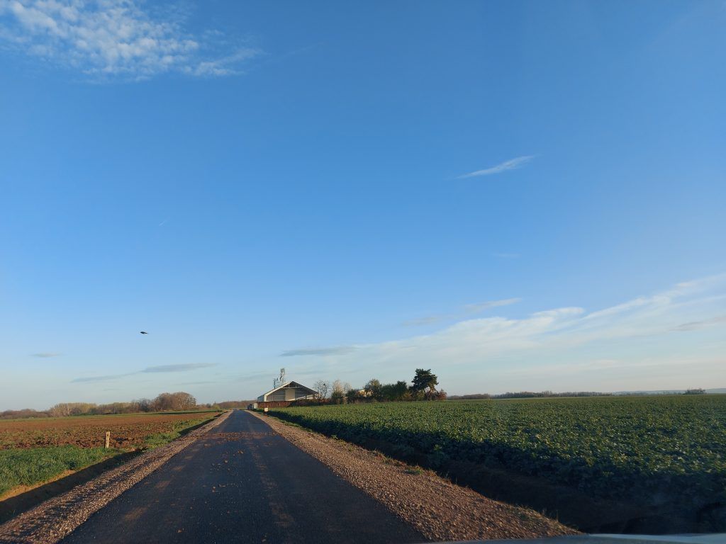 Az Agrárminisztérium meghirdette a Kormány tagjainak feladat- és hatásköréről szóló 182/2022. (V. 24.) Korm. rendelet IV. fejezetének – az agrárminiszter feladat- és hatáskörét részletező 6. pontjához, azaz a minisztérium természetvédelmi feladataihoz illeszkedő, civil feladatvállalást segítő pályázatot - Fotó: Magro.hu, CSZS, Zimány