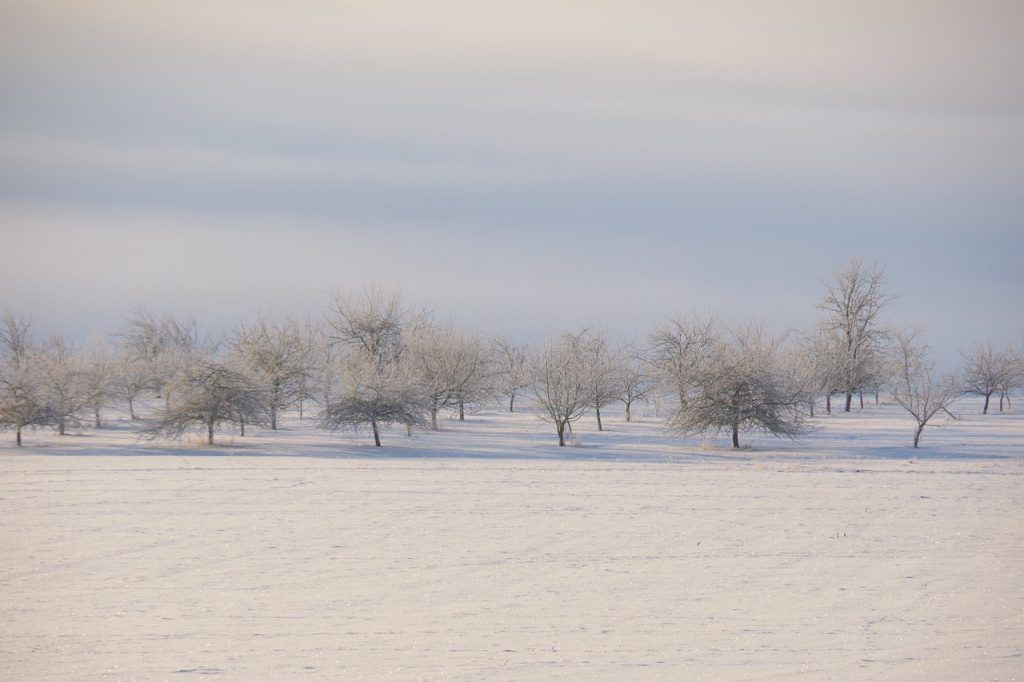 A feltaláló, Faragó Endre szerint az eddigi tapasztalatok alapján 1,7 °C-kal lehet emelni a hőmérsékletet az ültetvényben egy éjszaka alatt