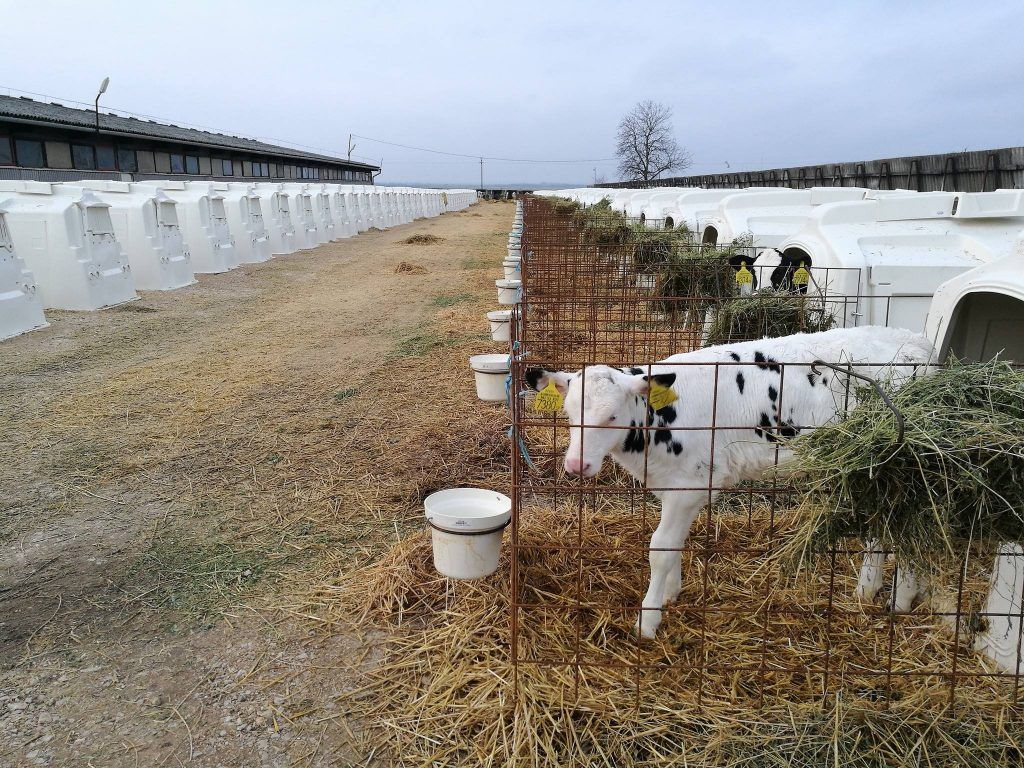 Kevés a dolgozó: agronómus, traktoros és állattenyésztési munkaköröket is kínál az Enyingi Agrár Zrt.