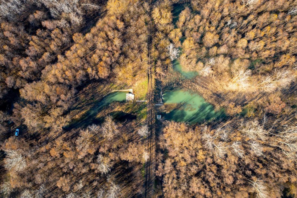 A fejlesztéssel 376,5 hektárnyi területet adtak vissza a folyónak, jelentősen javítva a térség árvízi biztonságát, egyúttal a természetes vízvisszatartás képességét