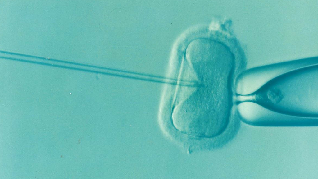 A kocánként évente szükséges spermaszám csökkentése érdekében kíméletes spermafeldolgozásra, szállításra és tárolásra, valamint hatékony minőségbiztosításra van szükség