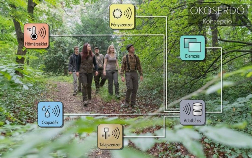 Adatok a fák közül: digitális technológiákkal működik az okoserdő