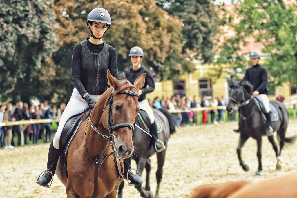 A több mint két évszázados hagyományra épülő lovas szak népszerű a Ménesbirtok iskolájában