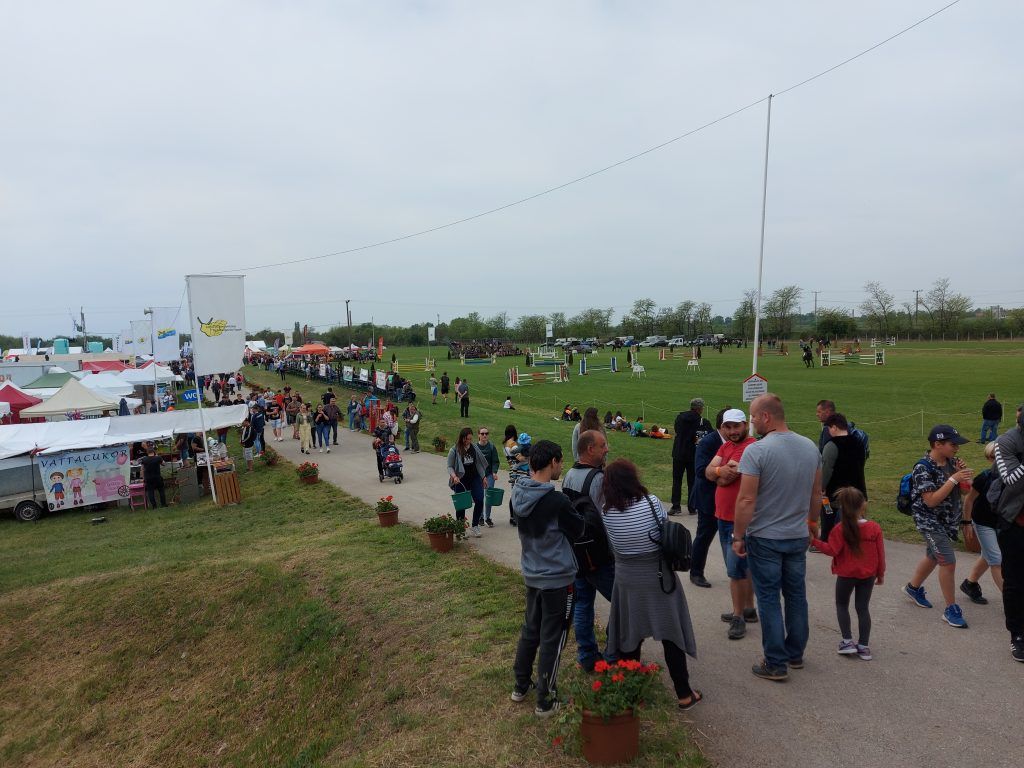 Fokozottan támogatja a generációváltást, a fiatal gazdákat és az agrárvállalkozások indítását az új KAP stratégiai terv - Fotó: Magro.hu, CSZS, Hódmezővásárhely