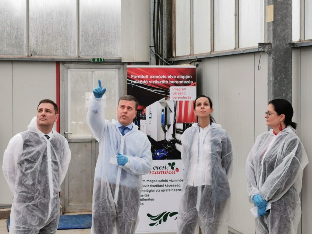 Balról jobbra Tuzson Bence kormányzati államtitkár, Márkus Zsolt, a Veresi Paradicsom Kft. ügyvezetője, Koncz Zsófia, a Technológiai és Ipari Minisztérium miniszterhelyettese és Juhász Anikó, az Agrárminisztérium helyettes államtitkára Veresegyházon, a Veresi Szamóca bemutatóján - Fotó: FruitVeB