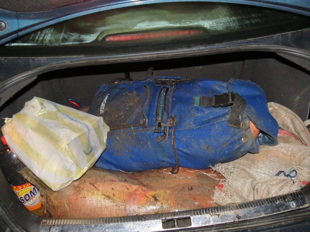 Így csomagolták be és szállították volna az orvhalászok a Hortobágynál, tiltott eszközökkel kifogott 147 kilogrammnyi pontyot - Fotó: Police.hu