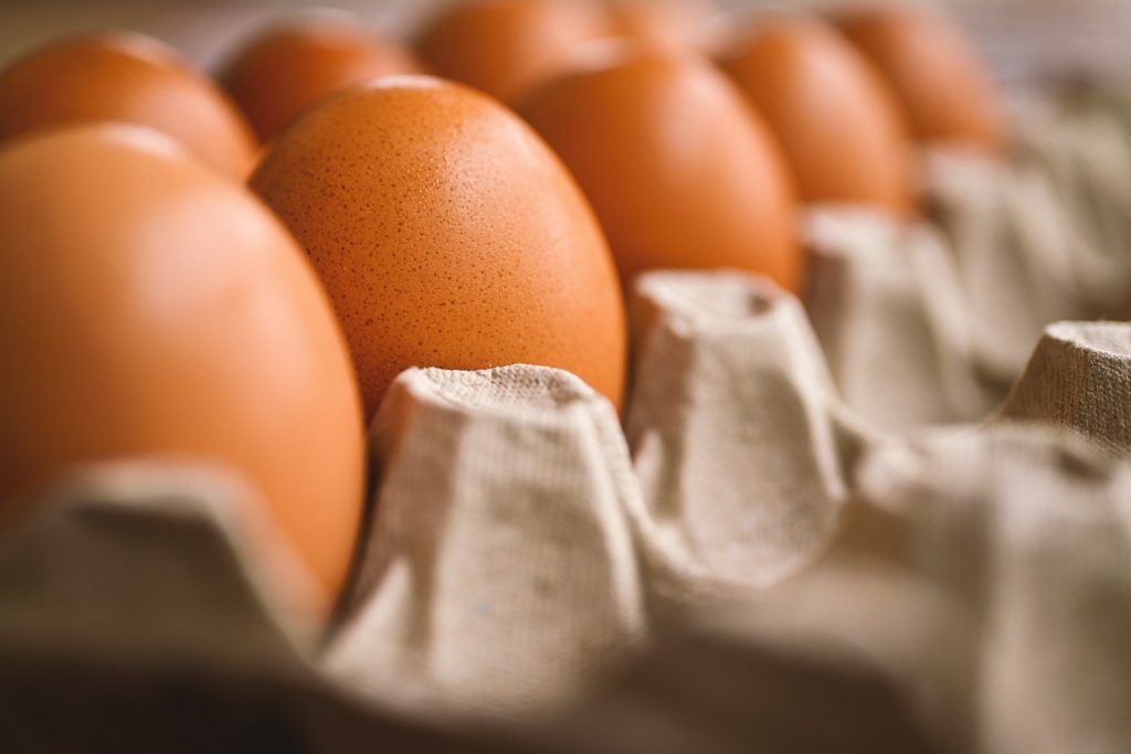 Bár a tojáságazat, amely a teljes üvegházhatásúgáz-kibocsátás mindössze 0,6%-át teszi ki, nincs messze a szén-dioxid-kibocsátás nettó nullájától, a kiskereskedők, a fogyasztók, a befektetők és a szabályozó hatóságok változtatásokat követelnek és ösztönöznek. Ennek oka, hogy az élelmiszerek világszerte a háztartások szén-dioxid-kibocsátásának 10-30%-át teszik ki.