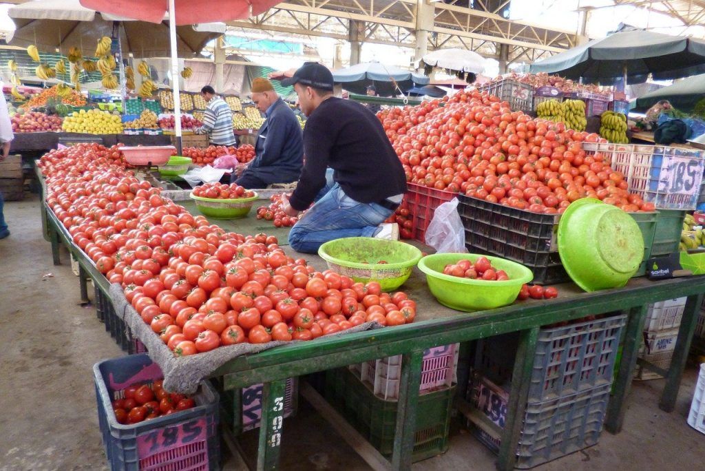 Mexikó az összes export 24,51 százalékát, Hollandia 12,02 százalékát, Spanyolország 8,53 százalékát és Marokkó 8,10 százalékát exportálta
