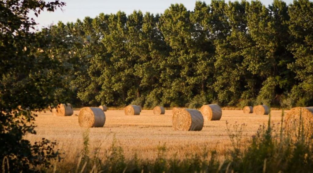 Saját maguknak javítják az utakat a felpéci és a kajárpéci gazdák - Fotó: Kajárpéc település oldala
