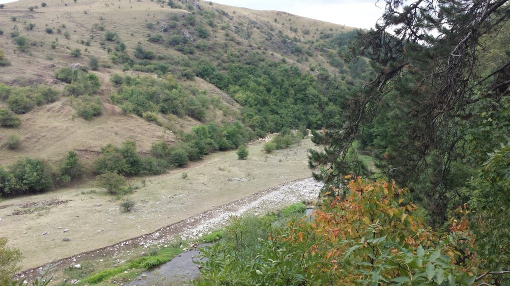Juhok haladnak a Tordai-hasadék közelében, Erdélyben - Fotó: Magro.hu, CSZS, Torda
