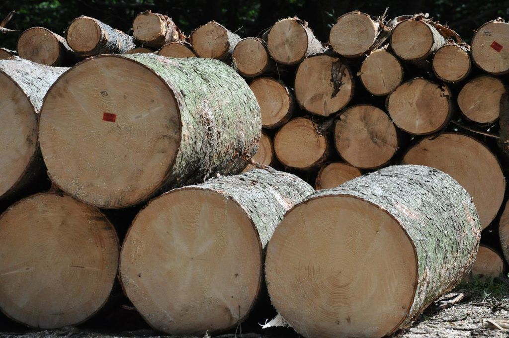 A Nemzeti Agrárgazdasági Kamara szerint károsítás nélkül kitermelhető a több tűzifa, a a Nemzeti Közszolgálati Egyetemen és a Pázmány Péter Katolikus Egyetemen oktató Zlinszky János ökológus szakember viszont tragikus következményekkel számol