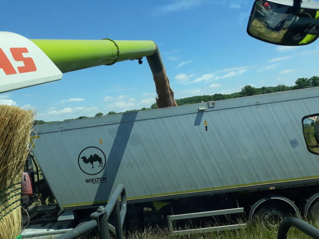 Vége a kalászosok aratásának, átlag alatt maradtak a hozamok - Fotó: Magro.hu, CSZS, Tápióbicske, búza aratás