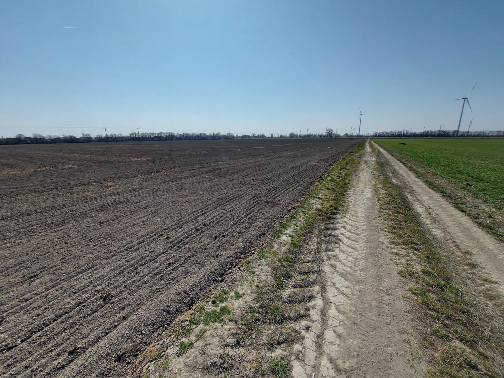 2030-ig helyre kellene állítani a természetes állapotot az Európai Unió területének 20 százalékán - Fotó: Magro.hu, CSZS, Mosonmagyaróvár