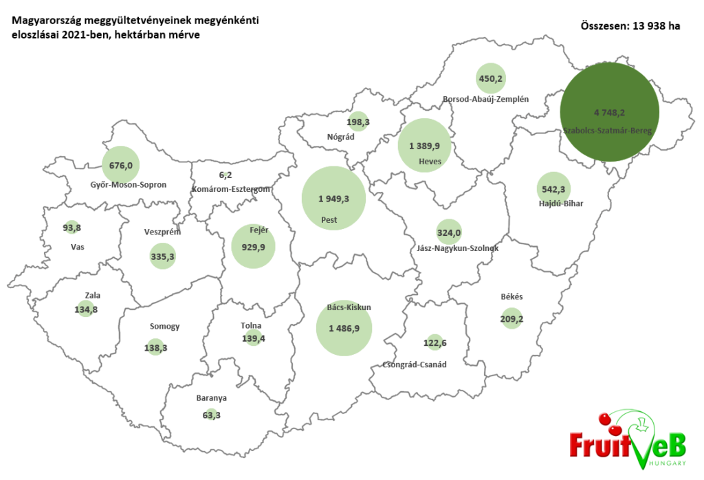 Az első meggybefőttkötések mintegy 20%-kal alacsonyabb árszinten történtek, mint a hazai konzervgyárak kiajánlott árai