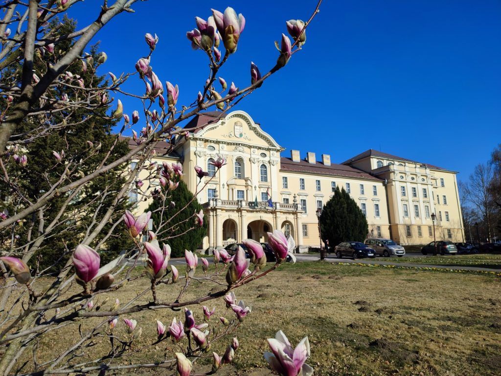 A gyűjtőrendszer átszervezésére és a biohulladék-kezelés technológiák fejlesztésére költhet egymilliárd forintot a Magyar Agrár- és Élettudományi Egyetem