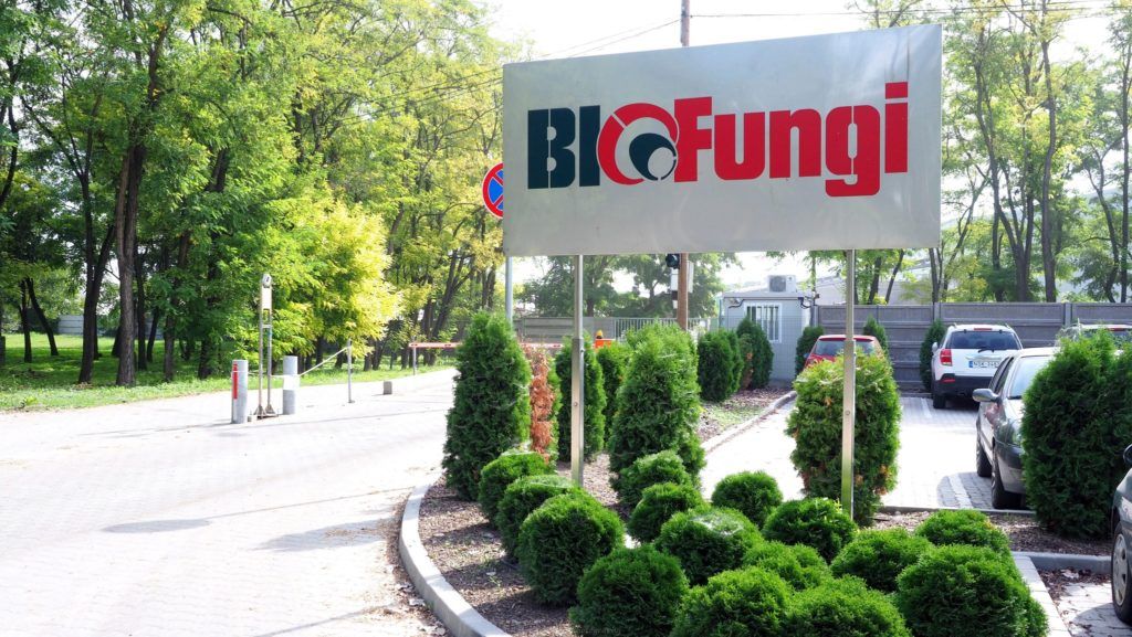 A Bio-Fungi Kft. és a Magyar Agrár- és Élettudományi Egyetem (MATE) konzorciuma közös kutatás-fejlesztési projektet indít a gombatermesztés melléktermékeként megjelenő gombakomposzt és egyéb szedési hulladék rovarlárvákkal történő újrahasznosításának és teljes ipari technológiájának kutatás-fejlesztésére, a gombaipar hulladékkezelésének megoldása érdekében - Fotó: FB