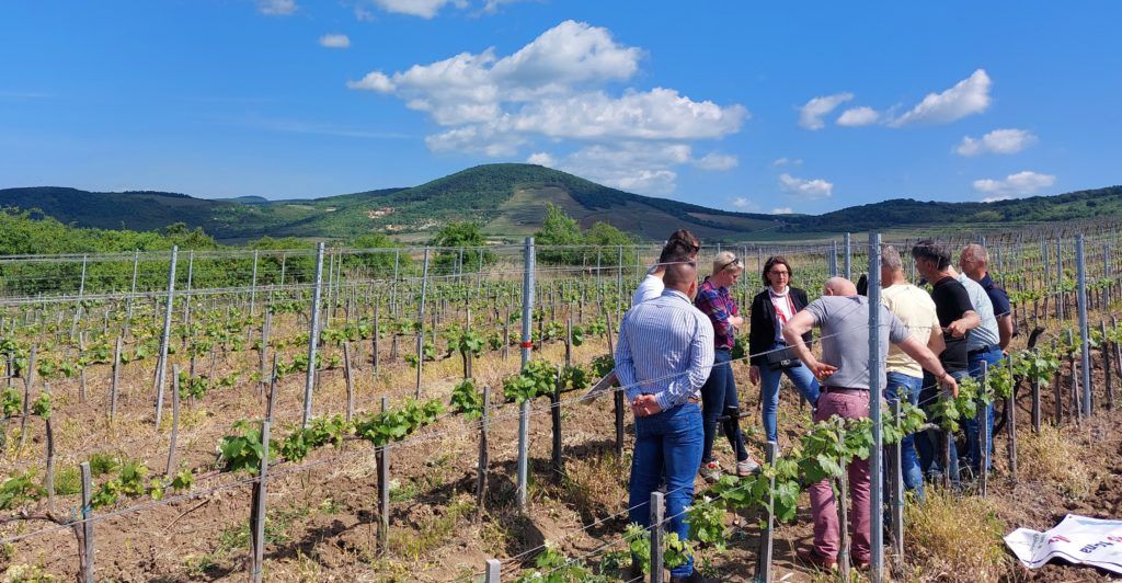 A sorozat bodrogkeresztúri állomásán a szőlő volt a középpontban