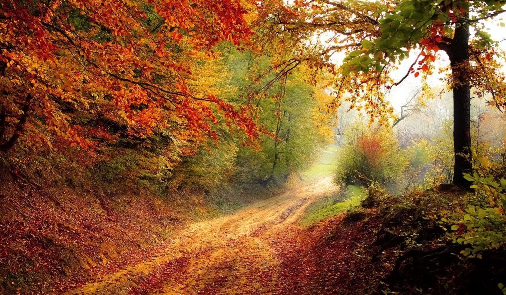 A nemzeti park értékes rétjeinek háromnegyede a helyi gazdák kezében van