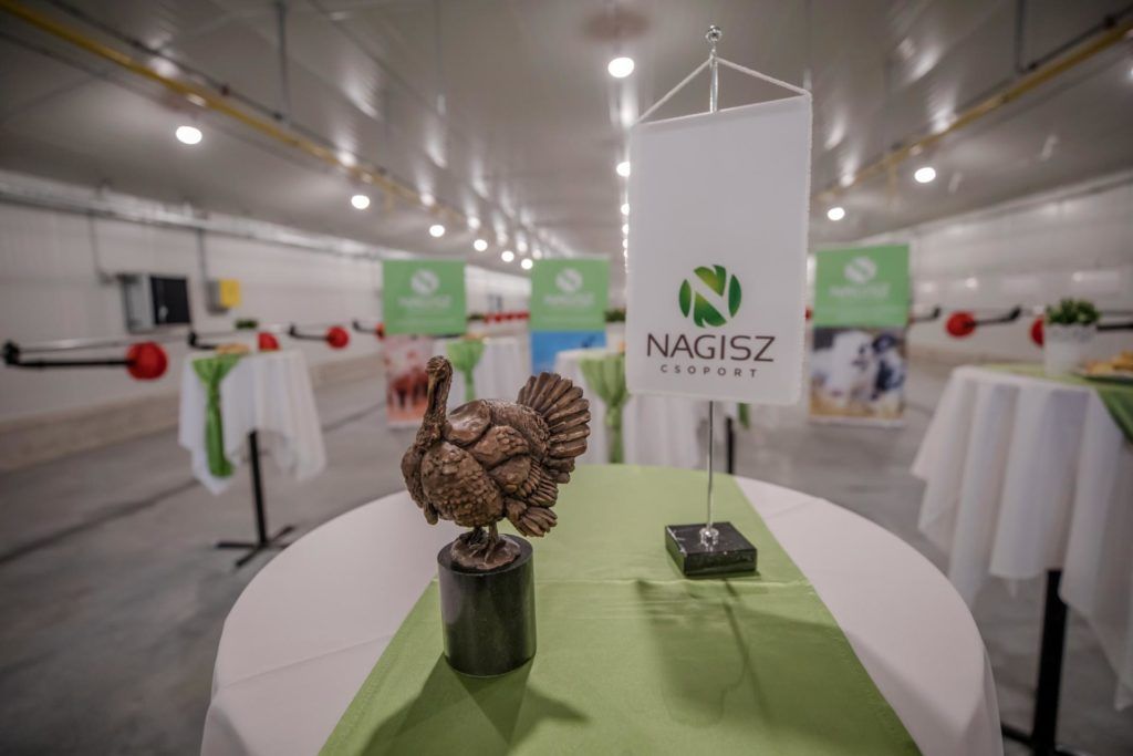 Magyar lesz a világ hetedik legnagyobb pulyka tenyésztojás előállítója
