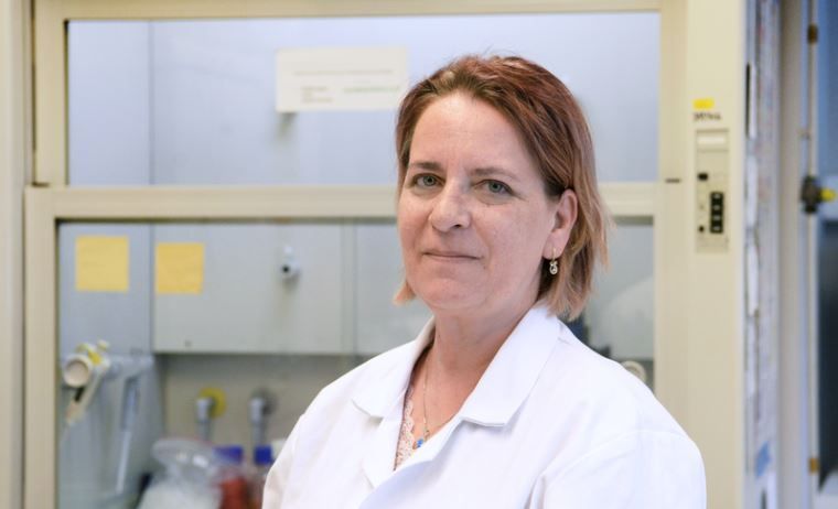 Dobránszki Judit, a Mezőgazdaság-, Élelmiszertudományi és Környezetgazdálkodási Kar Agrár Genomikai és Biotechnológiai Központjának (AGBK) vezetője - Fotó: Unideb.hu