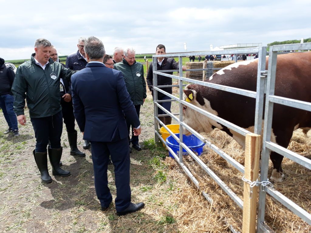 Győrffy Balázs, a Nemzeti Agrárgazdasági Kamara (NAK) elnöke (balra) beszélget Nagy István agrárminiszterrel a NAK Szántóföldi Napok rendezvényen - Fotó: Magro.hu, CSZS, Mezőfalva