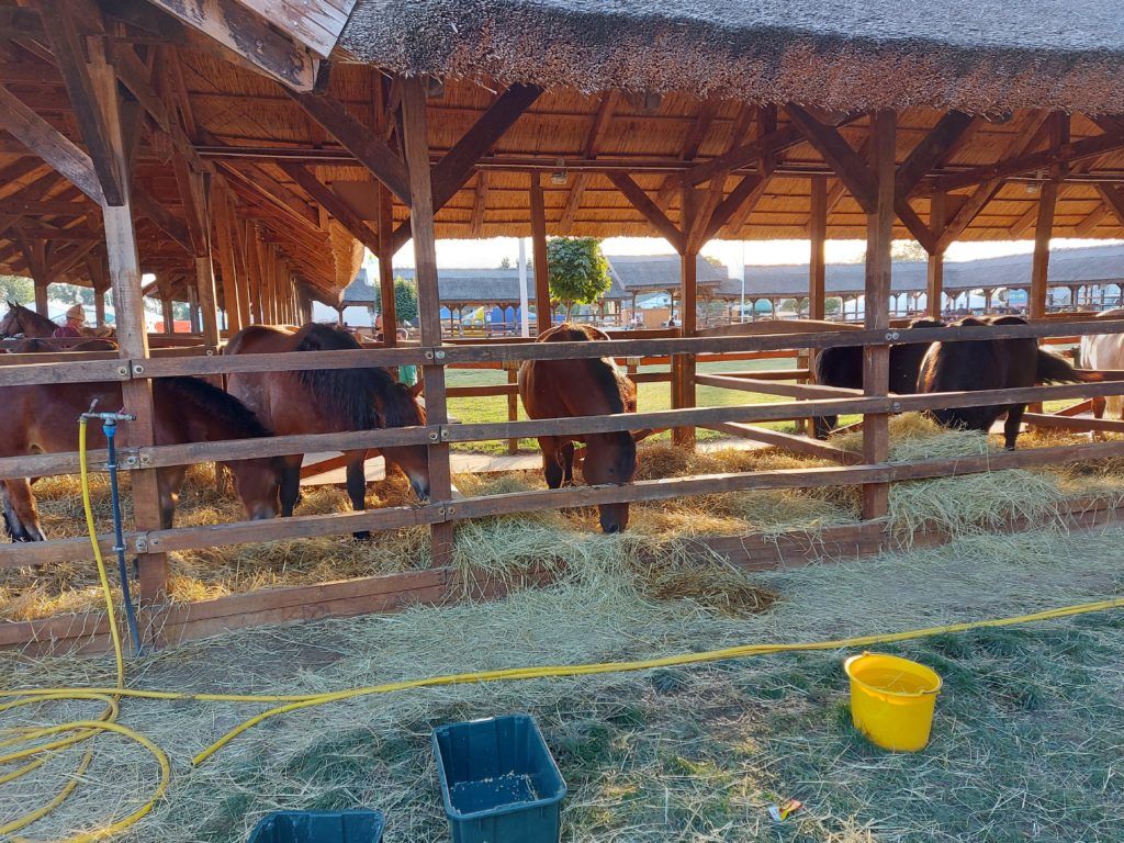 Hivatalosan is tartósan vízhiányos időszak van Magyarországon, nem kell vízkészletjárulékot fizetniük a termelőknek - Fotó: Magro.hu, CSZS, Hódmezővásárhely