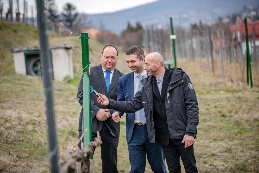 Az Agrárminisztérium mezőgazdaságért és vidékfejlesztésért felelős államtitkára, Feldman Zsolt (középen) a Pécsi Tudományegyetem Szőlészeti és Borászati Kutatóintézetének (SZBK) új, digitális szőlőtőke nyilvántartó rendszere miatt érkezett Pécsre - Fotó: Vermes Tibor, AM