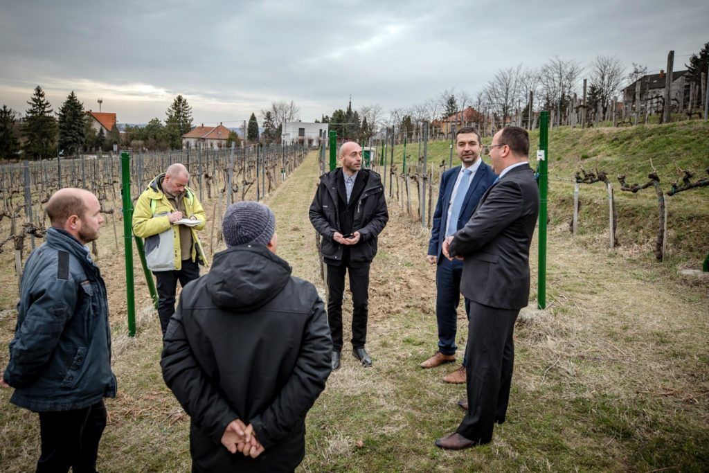 Középen dr. Teszlák Péter kutatási igazgató, jobbról a második Feldman Zsolt államtitkár, jobbra pedig Madaras Zoltán SZBK elnök az új, digitális szőlőtőke nyilvántartó rendszer pécsi sajtótájékoztatóján - Fotó: Vermes Tibor, AM