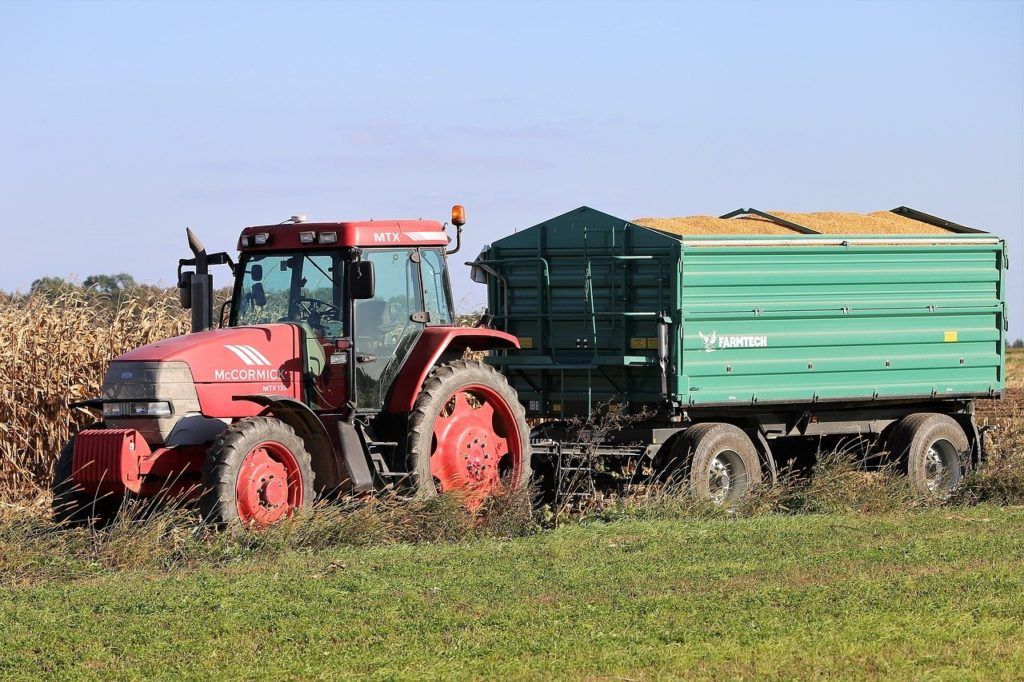 A korlátozások stratégiák és termékek sokaságát indították el, amelyek célja a mikotoxinok kimutatása és az általuk okozott egészségügyi és üzleti károk megelőzése
