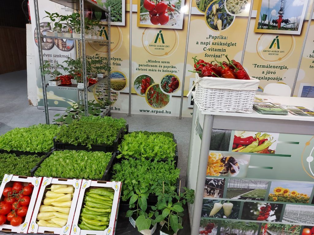 Rangos elismerést kapott a szentesi paprika azzal, hogy bekerült a Hungarikumok Gyűjteményébe - Fotó: Magro.hu, CSZS, Hódmezővásárhely